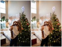 Load image into Gallery viewer, Holiday Magic Lightroom Presets
