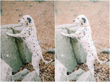 Load image into Gallery viewer, Light and Airy Lightroom Presets
