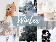 Load image into Gallery viewer, Winter Lightroom Presets
