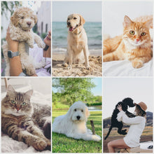 Load and play video in Gallery viewer, Furry Friends Pet Lightroom Presets
