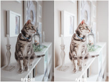 Load image into Gallery viewer, Clean Spaces Lightroom Presets
