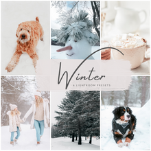 Load image into Gallery viewer, Winter Lightroom Presets
